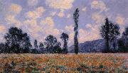 Claude Monet Field of Poppies oil painting on canvas